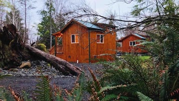 A wooden cabin with a sloped roof, surrounded by dense forest and ferns.