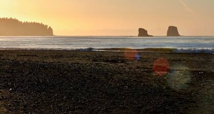 4 guest · Eddie Bauer`s former Beachfront Cottage