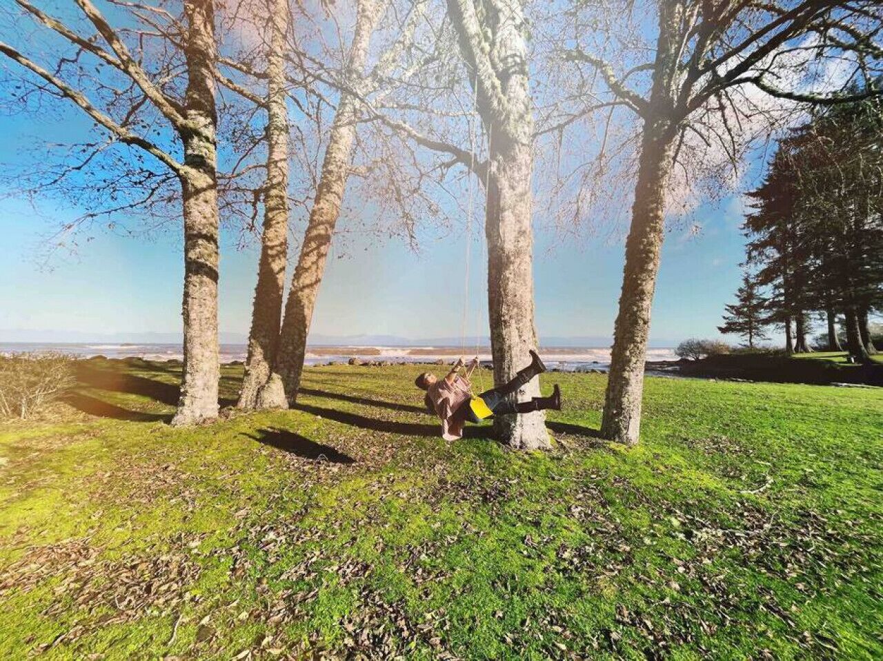 A park with trees and a grassy area.