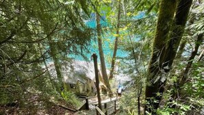 Una escalera de madera en un área boscosa que conduce a un terreno más elevado.