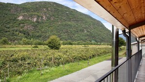 A wooden balcony with a view of a vineyard and a mountain. - Studio 'Agriturismo L'isola Del Cavallo 2' with Mountain View, Shared Garden and Wi-Fi (Talamona)
