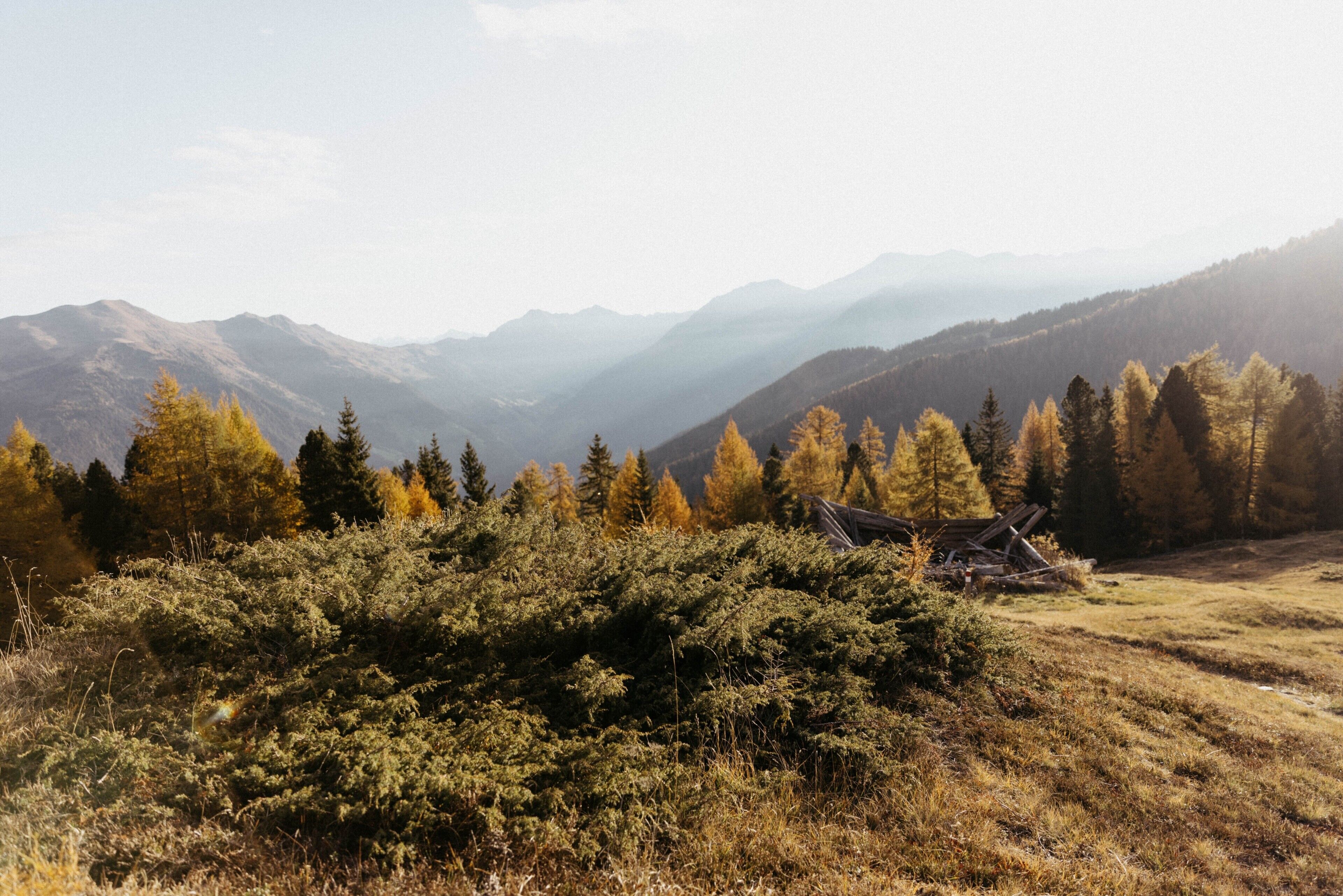 A mountainous landscape with dense forests and a clear sky.