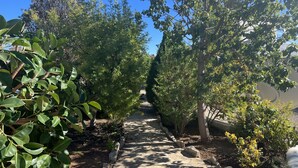A stone pathway flanked by lush greenery and trees, leading to a building with a curved facade. - Chic bungalow in a quiet and central location with private pool - close to the beach (Calpe)