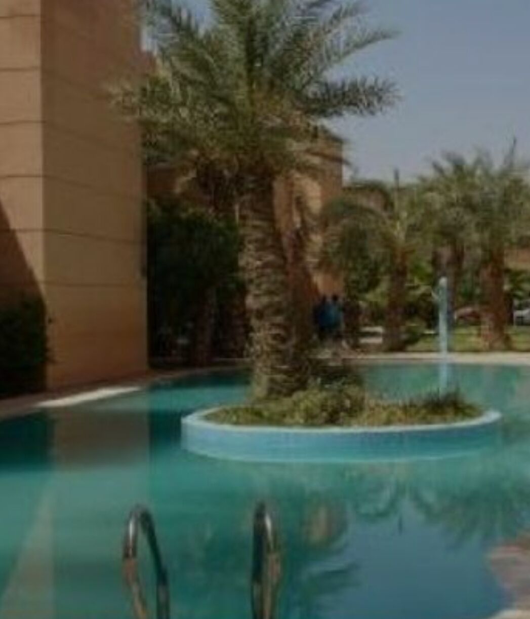 Ein Pool mit Palmen und einem Gebäude im Hintergrund.