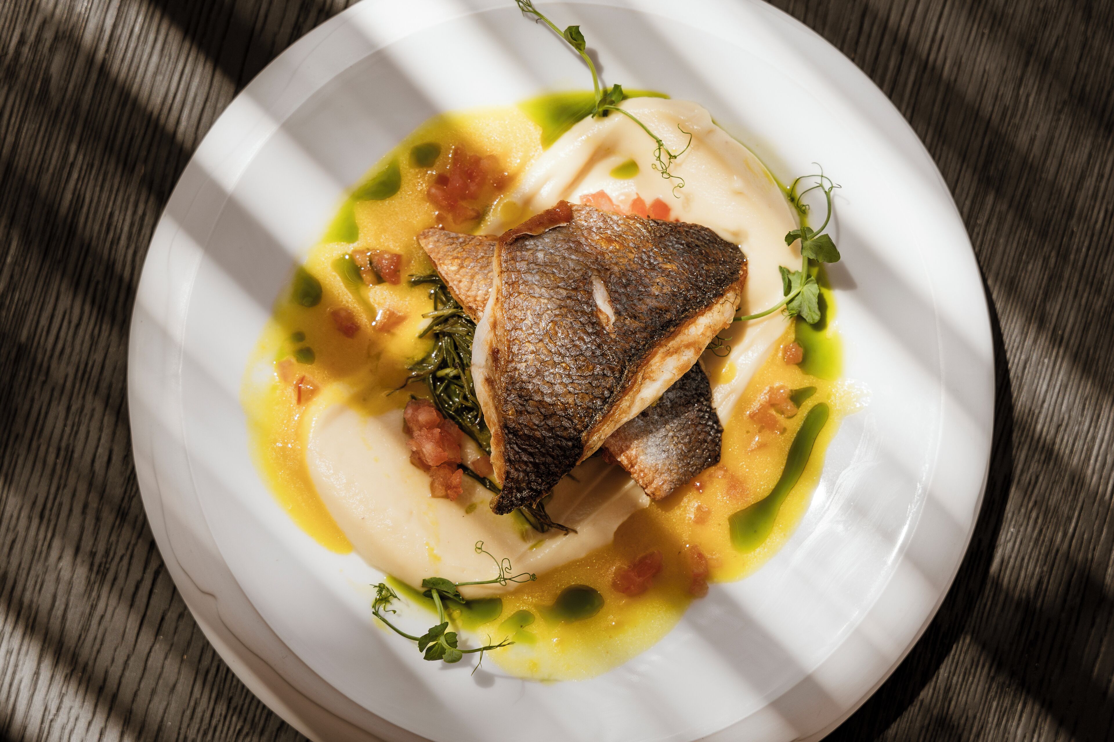 Ein weißer Teller mit Fischfilet, Salatbeilagen und cremiger Sauce.