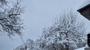 Een besneeuwde omgeving buiten, met een houten constructie, een bank en een pad van bakstenen.