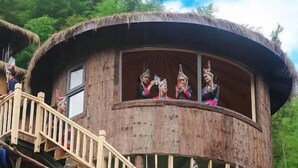 Una casa del árbol de madera con techo de paja, una escalera de madera y una ventana con vista al bosque circundante.