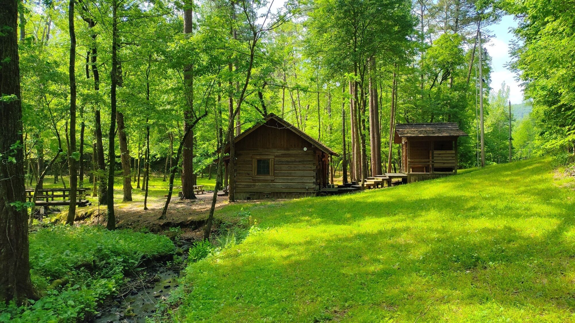 A rustic cabin with a wooden exterior, surrounded by a lush green forest.