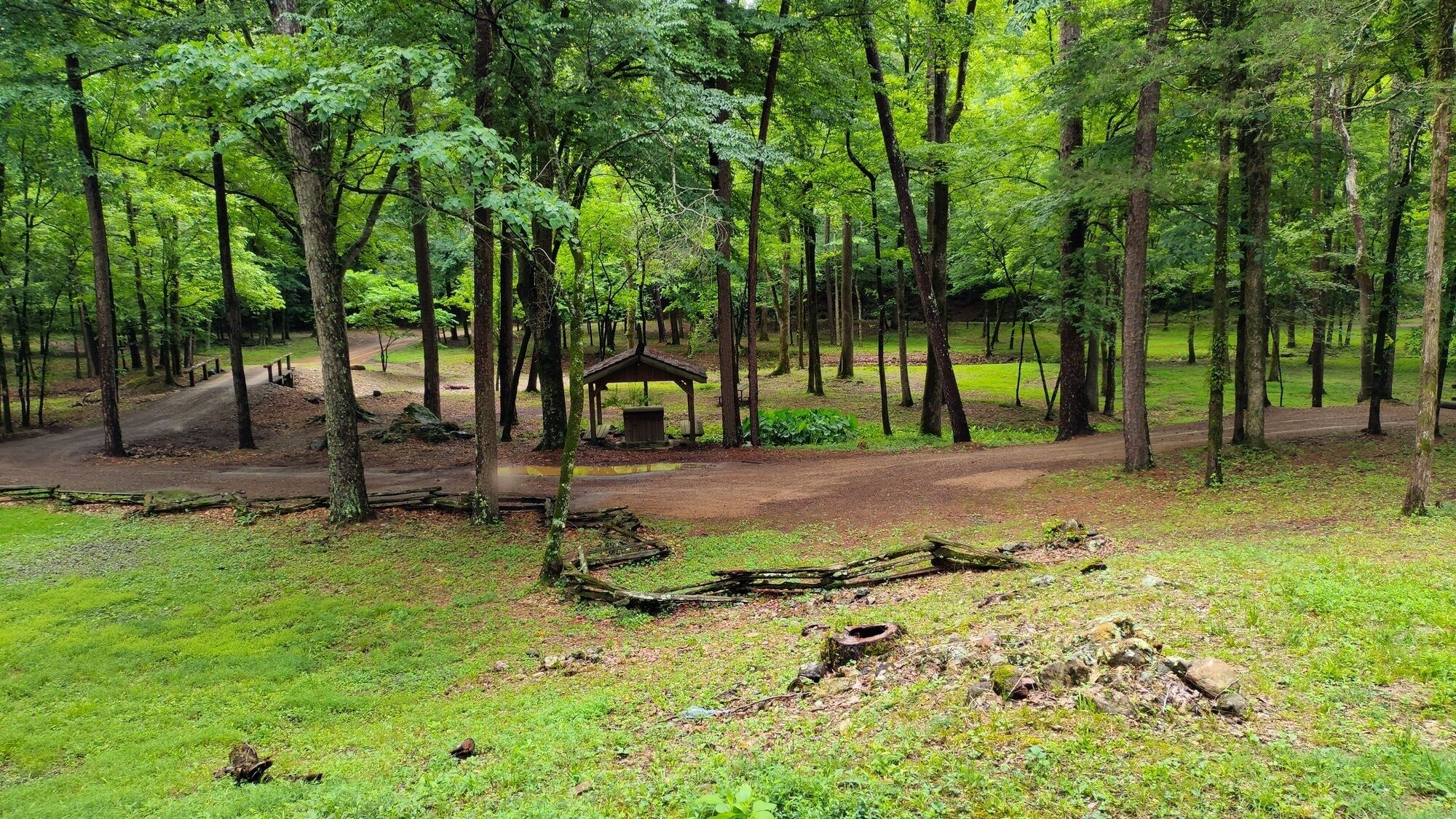 Ein bewaldeter Campingplatz mit einer kleinen Holzhütte, einem Feldweg und einem Picknicktisch.