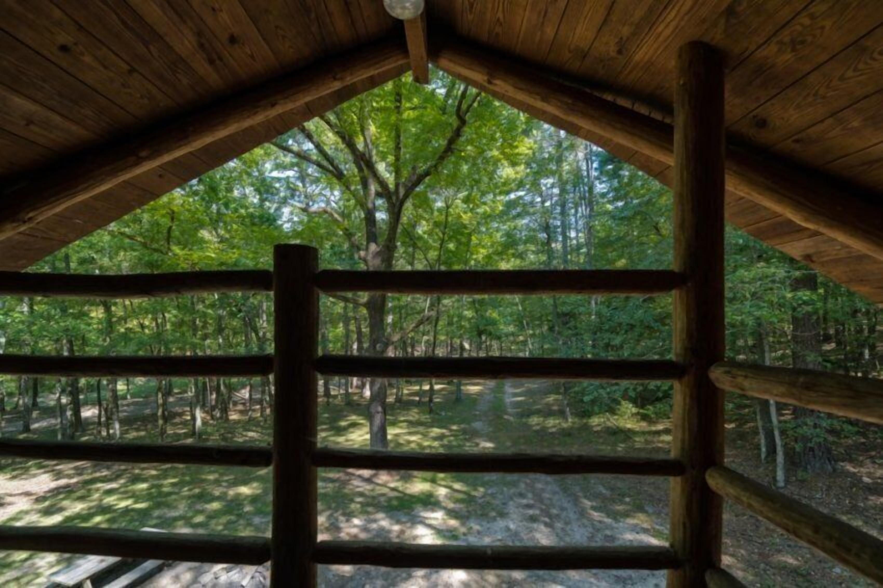 Una cabaña de madera con techo triangular y vista a un bosque a través de una ventana con barrotes horizontales.