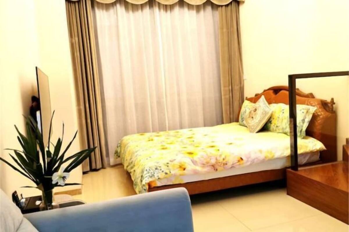 A hotel room with a bed, a desk, a chair, and a potted plant.