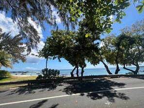 A road with a beach and ocean in the background, lined with trees and a bench. - Cosy 3 bedrooms House close to beaches (Trou-aux-Biches)