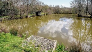Ein ruhiger Teich mit einer kleinen Holzkonstruktion auf einem Holzsteg.