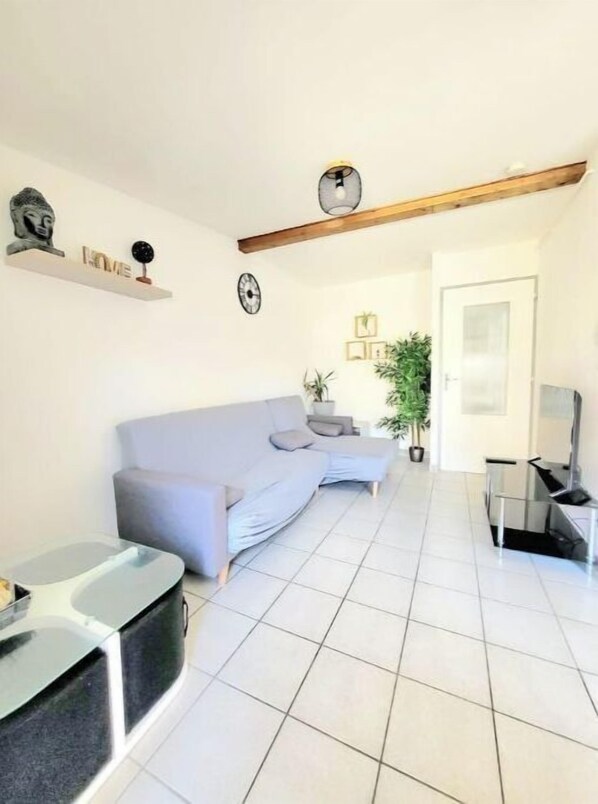 Smart TV - Charming 2-bedroom apartment 400m from station center (Valence)
