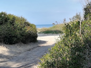 Ein sandiger Pfad, der zu einem Strand mit üppiger Vegetation an beiden Seiten führt.