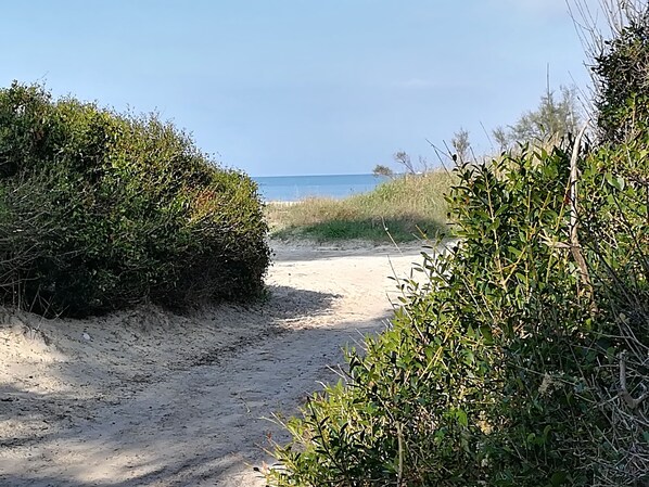 Beach nearby - Apartment 200 meters from the sandy beach and the pine forest (Mazzanta)