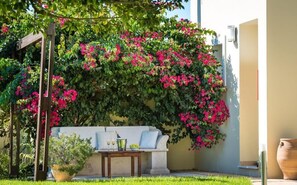 A garden with a white outdoor seating area, a wooden pergola, and a large potted plant.