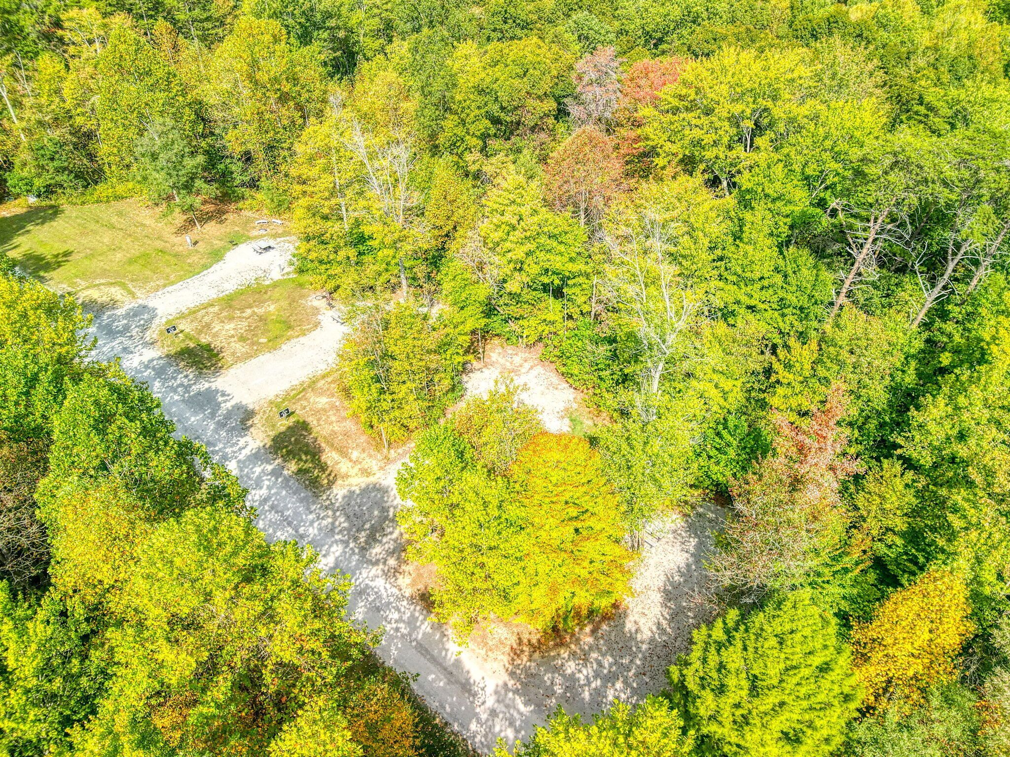 An aerial view of a forested area with a dirt path and a small clearing.