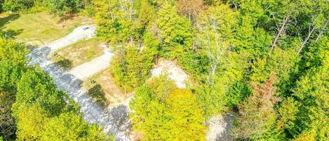An aerial view of a forested area with a dirt path and a small clearing.