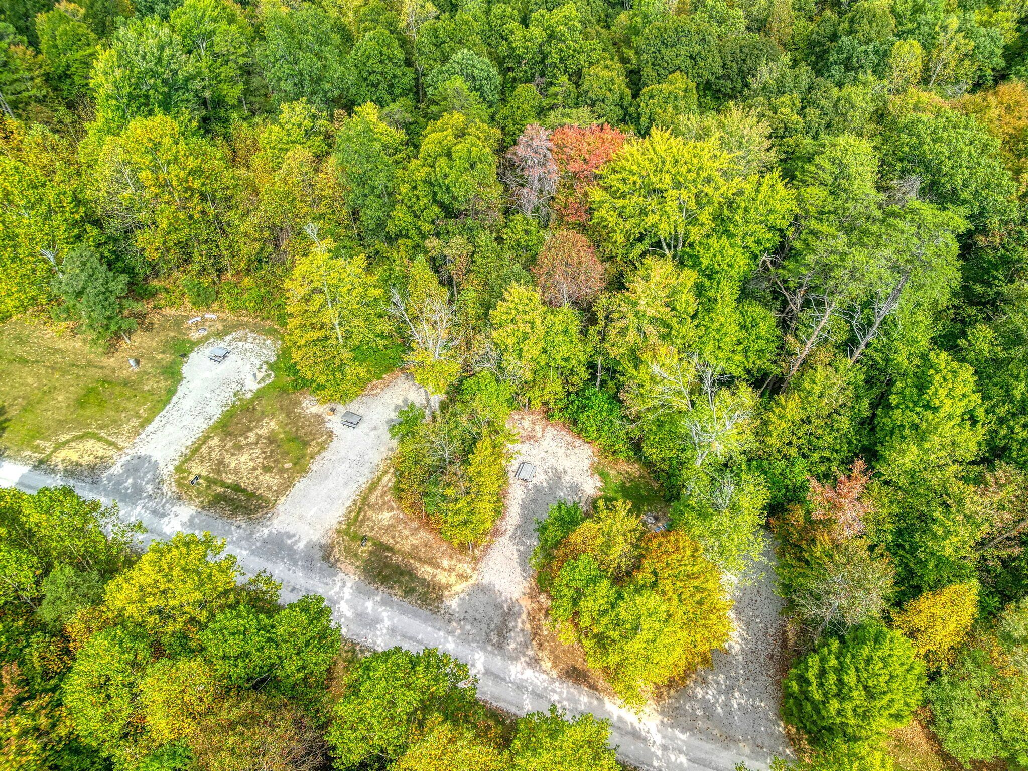 An aerial view of a forested area with a dirt path.