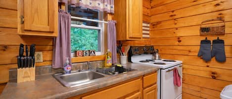 Une cuisine rustique aménagée dans une cabane en bois, avec un évier, une cuisinière et des placards en bois.