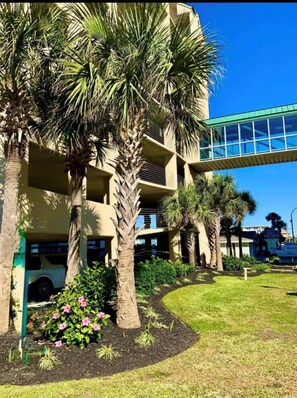 A building with multiple floors, a covered walkway, and palm trees. - 4BR OF Condo at Windy Hill Dunes 201 (North Myrtle Beach)