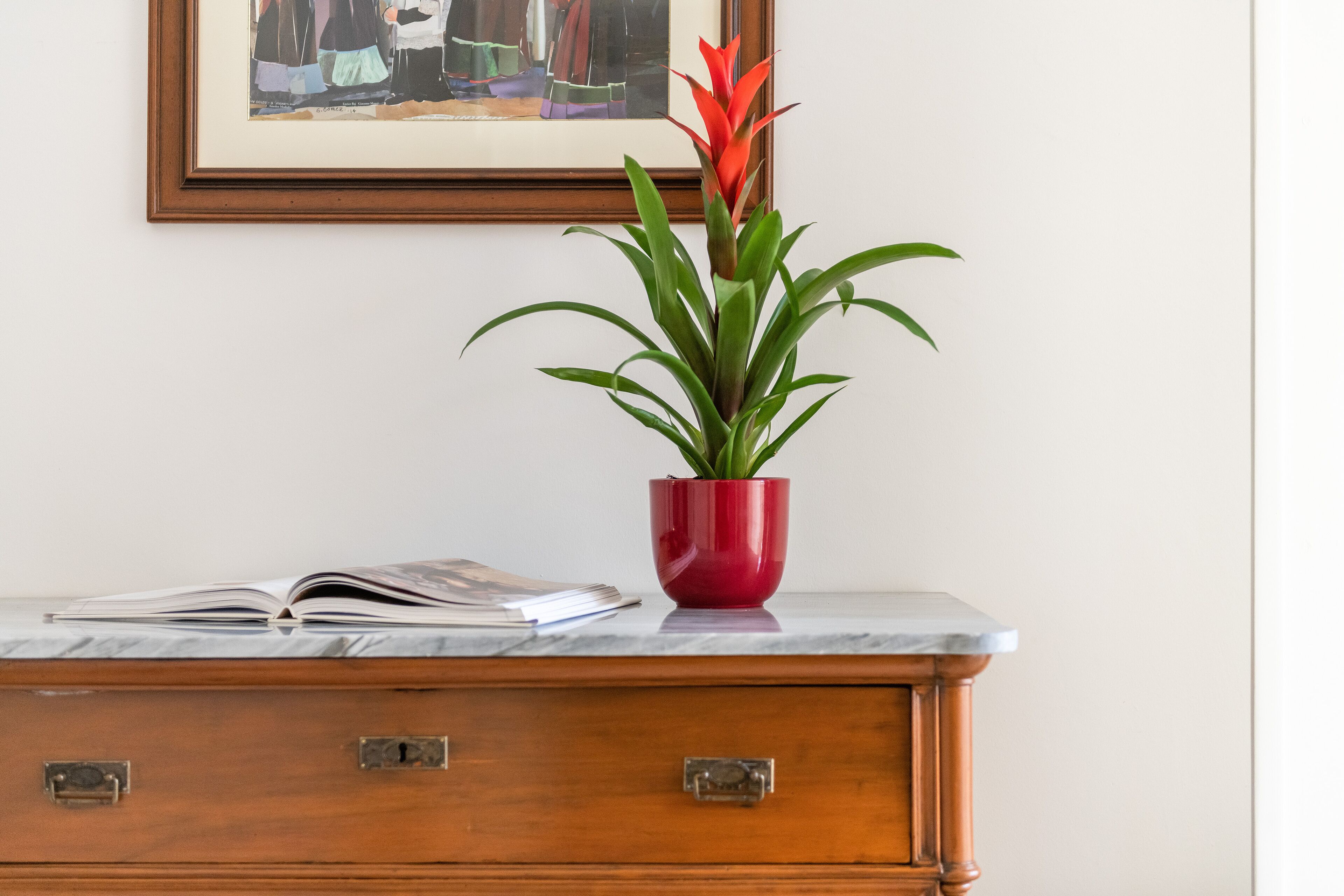 A wooden dresser with a red pot containing a plant with green leaves and a red flower.
