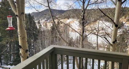 Beautiful Rocky Mountain Home with Views near Cripple Creek on 1 acre.