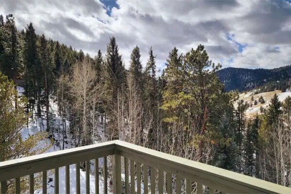 Property grounds - Beautiful Rocky Mountain Home with Views near Cripple Creek on 1 acre. (Divide)