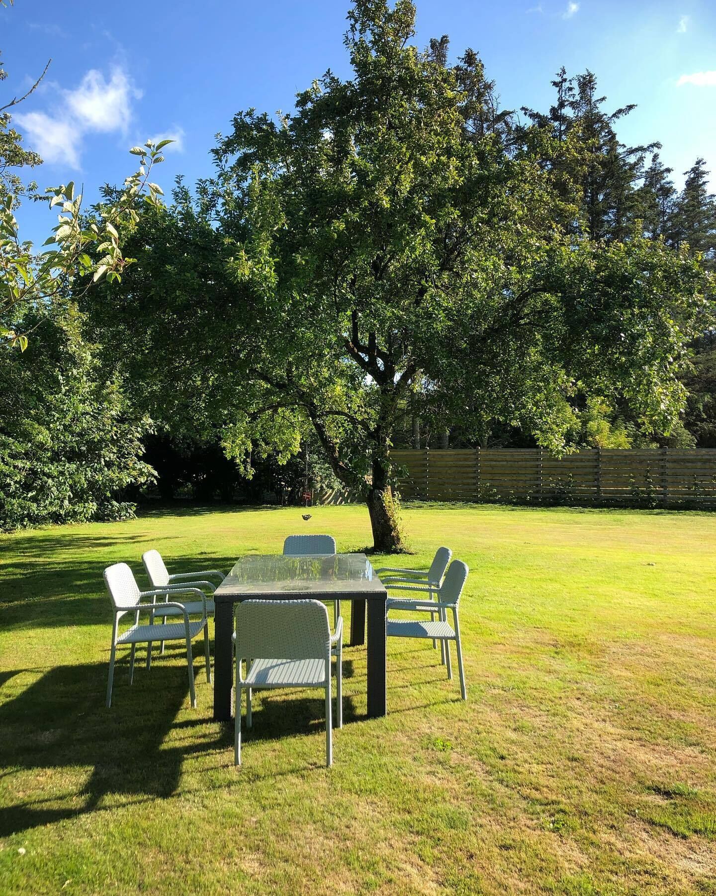 An outdoor seating area with a table and chairs, surrounded by grass and trees.