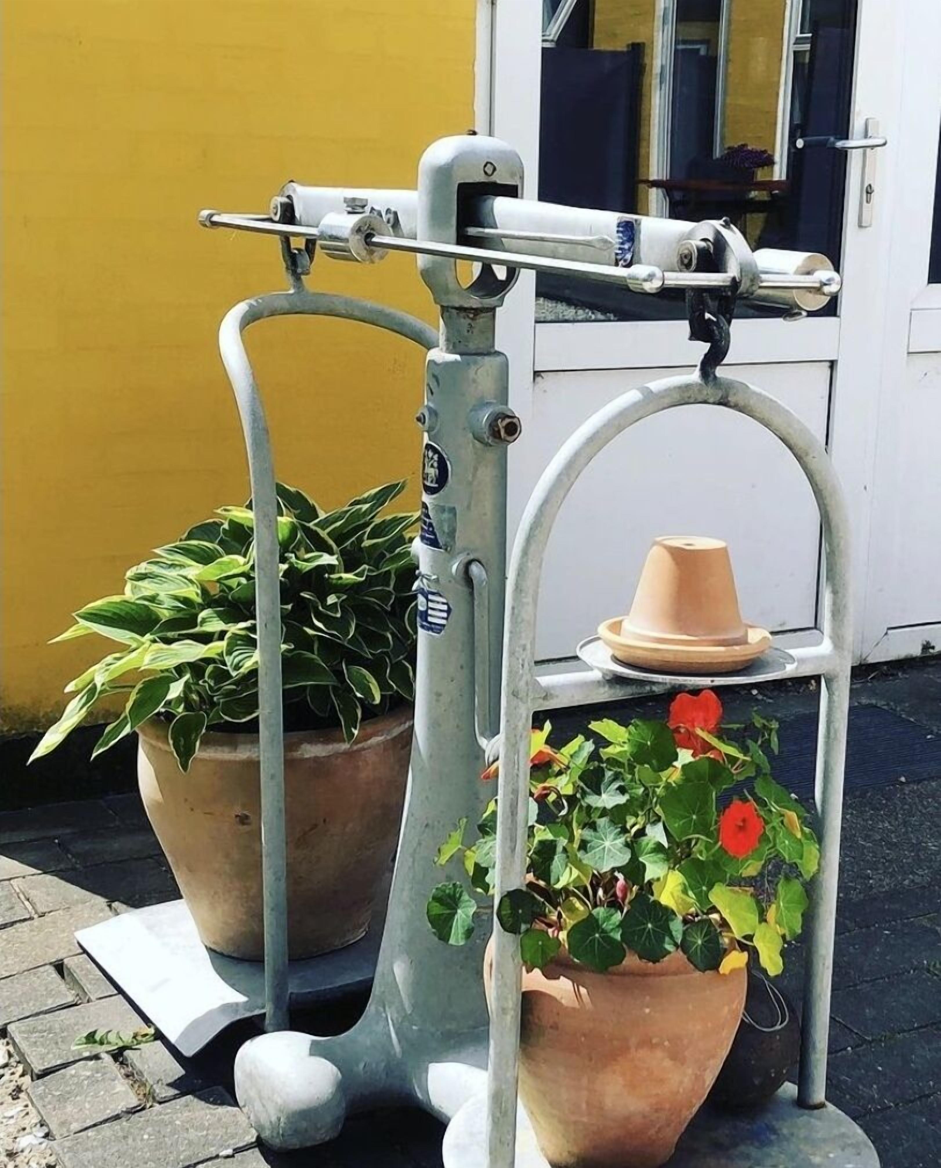 Una estructura metálica con dos plantas en macetas, una de hojas verdes y la otra con flores rojas, frente a una pared amarilla.