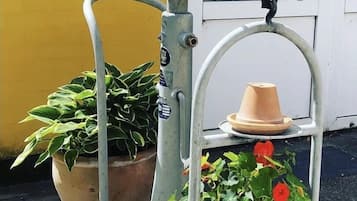 Una estructura metálica con dos plantas en macetas, una de hojas verdes y la otra con flores rojas, frente a una pared amarilla.