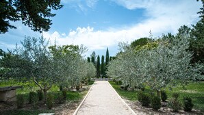 A gravel pathway flanked by rows of olive trees and cypress trees, leading to a distant white building.