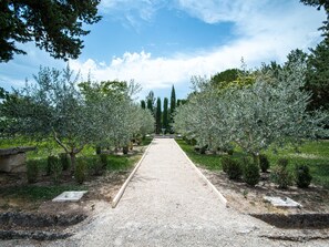 Property grounds - Le Mas de Jalique - Isle-sur-la-Sorgue (L'Isle-sur-la-Sorgue)
