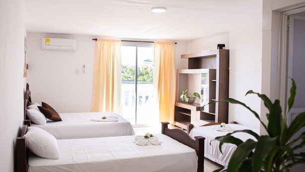 Habitación de hotel con dos camas, un escritorio pequeño, un espejo y una planta.