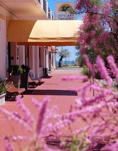 HOTEL TAMARIZ