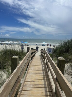On the beach
