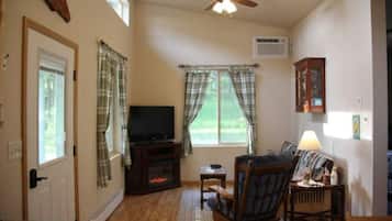 TV, fireplace, DVD player, books