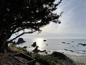 A coastal landscape with a tree providing shade, rocky outcrops, and a calm sea.