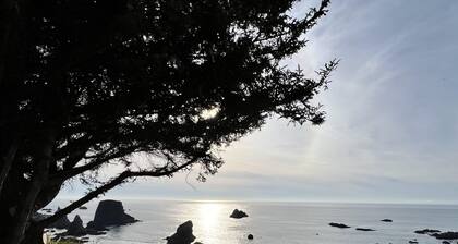 Spectacular Ocean Front Views "Sea Star Escape" B