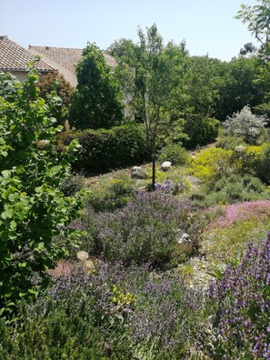 Garden view - Le Mas de Molines (Vogue)