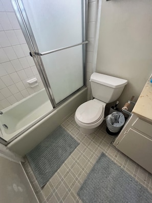 Secador de pelo, toallas, jabón, shampoo