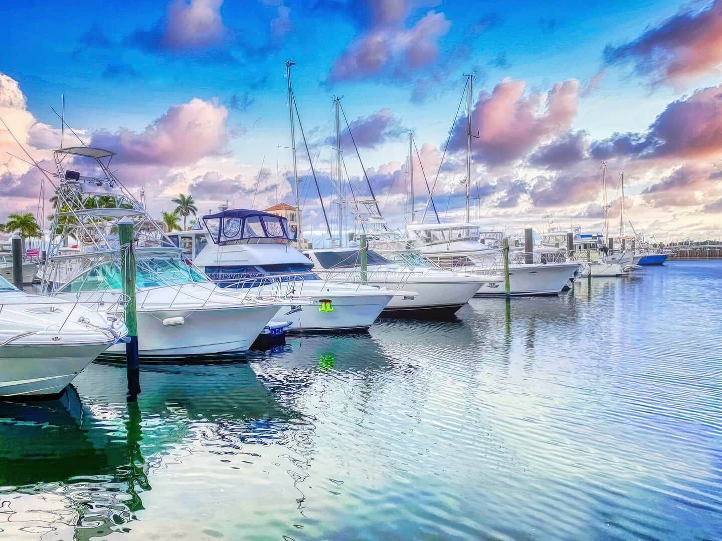 Een jachthaven met verschillende boten afgemeerd, kalm water en een heldere lucht.