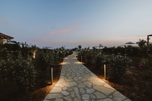 Un sendero de piedra atraviesa un jardín con plantas a ambos lados, bordeado por estructuras con sombrillas.