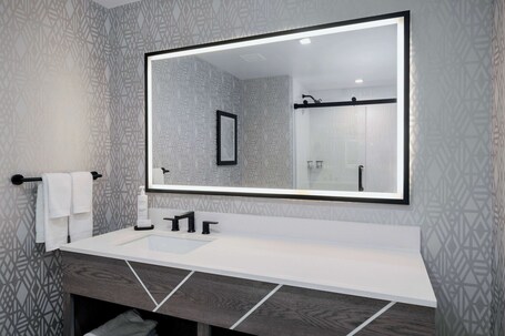 Embassy Suites By Hilton Asheville Downtown - Image 37