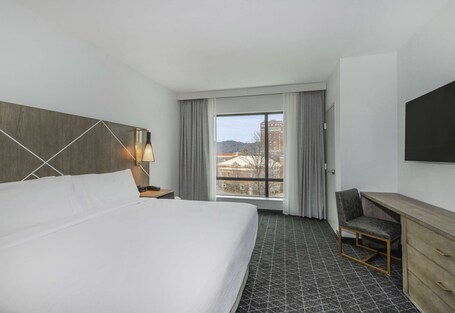Embassy Suites By Hilton Asheville Downtown - Image 83