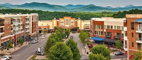 Embassy Suites By Hilton Asheville Downtown - Image 12