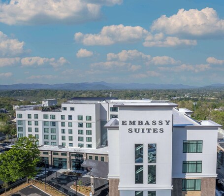 Embassy Suites By Hilton Asheville Downtown - Image 46