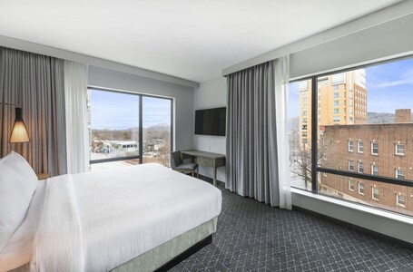 Embassy Suites By Hilton Asheville Downtown - Image 43