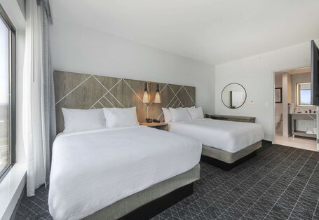 Embassy Suites By Hilton Asheville Downtown - Image 45